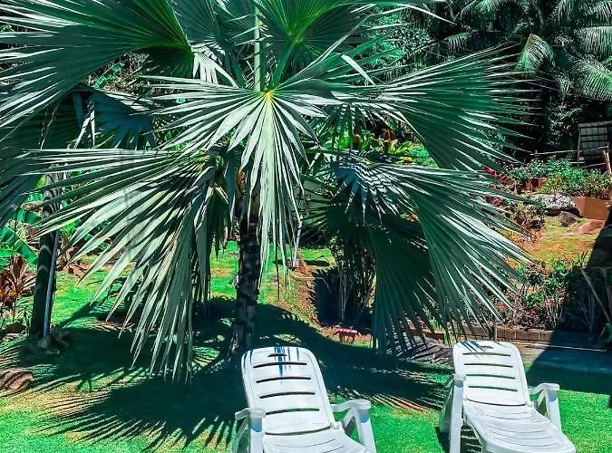 Apartment Ocean Vista